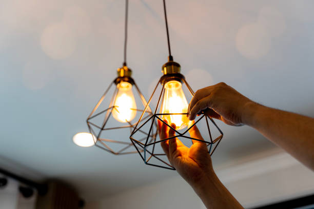 Best Ceiling Fan Installation Electrician  in Redington Shores, FL